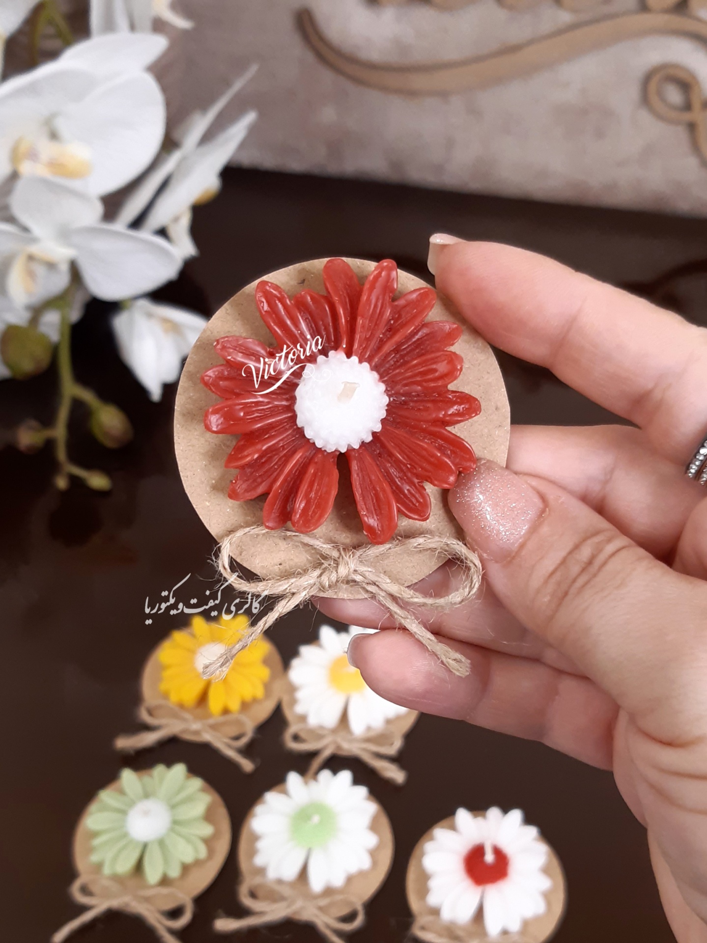 گیفت بابونه شمعی
