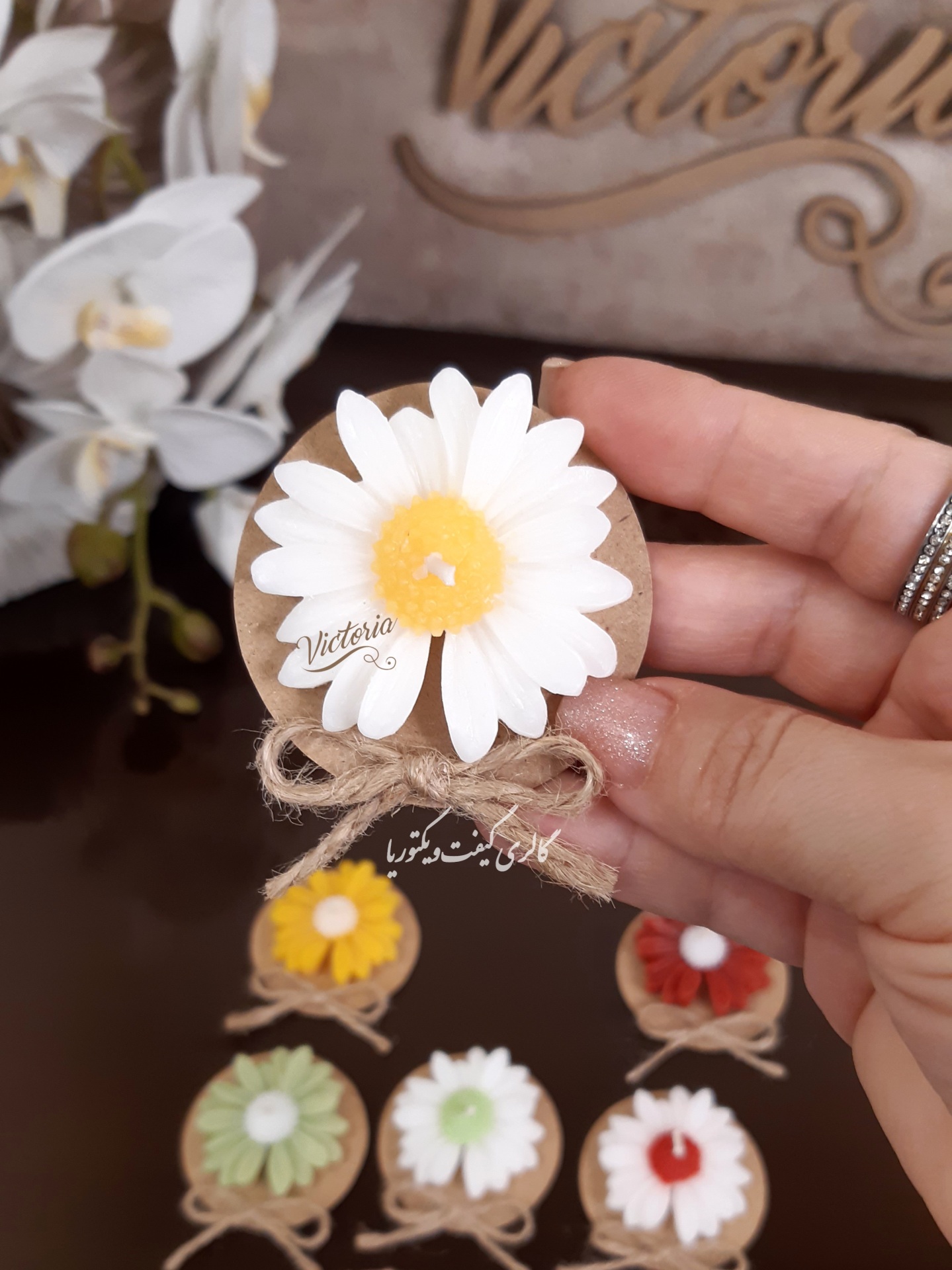 گیفت بابونه