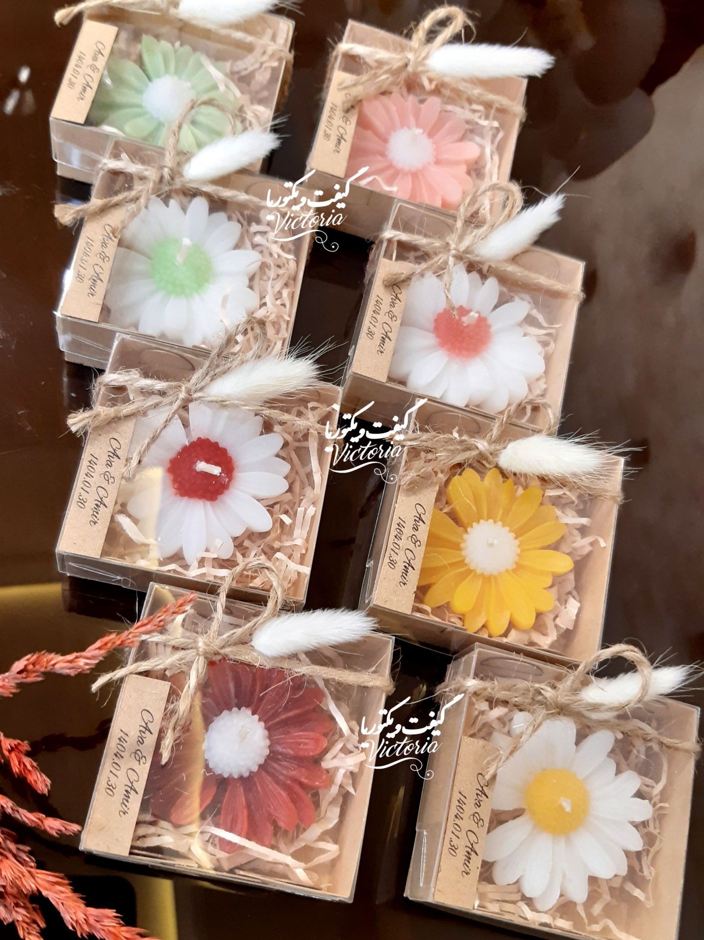 گیفت بابونه